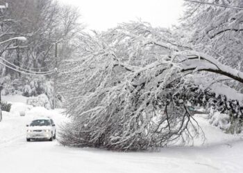Қар сілкуге бөлінген қаржы