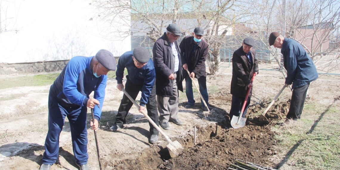 Ардагерлер алғыс айту күнінде сенбілік өткізді