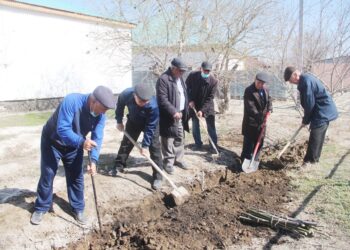 Ардагерлер алғыс айту күнінде сенбілік өткізді
