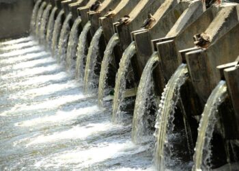 Су иесі кім?