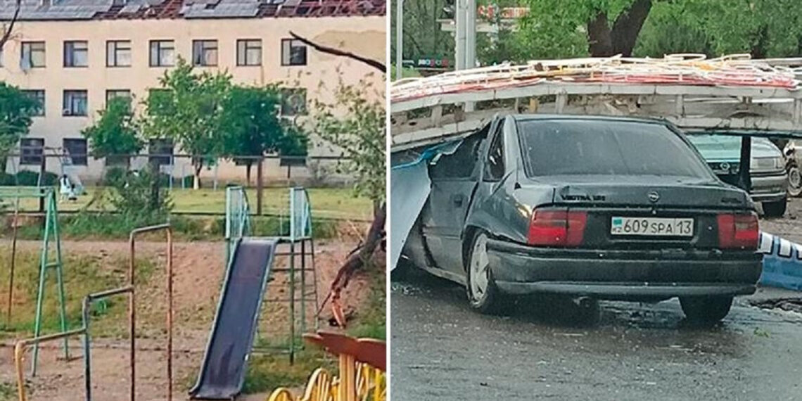 Дүлей дауыл салдары