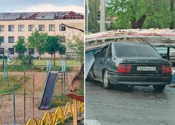 Дүлей дауыл салдары