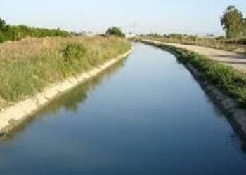 Саурандық тұрғындар ағын суды бөгеп тастаған әкімдіктегілерді сынға алды