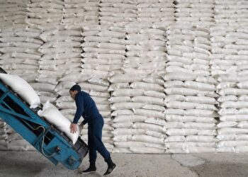 Қарашөкеев: Елімізде тұтынылатын қанттың тек 7% отандық өнім