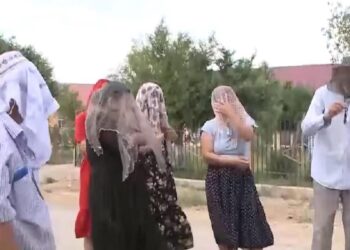 Ауылымызды шыбын шіркей қаптады