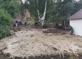 Алматы облысының Текелі қаласында лай көшкіні жүріп 5 жасар бала қаза болды