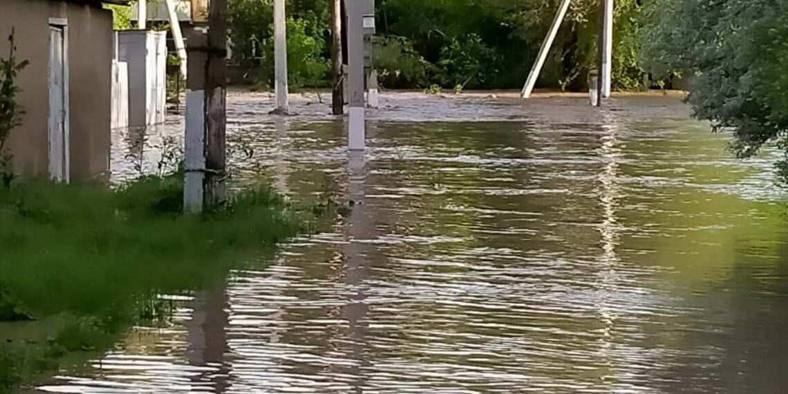 Түркістан облысы Қазығұрт ауылындағы 55 үйді су басты