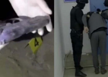 Қызылордада үш адамды өлтірді деген күдіктілер ұсталды