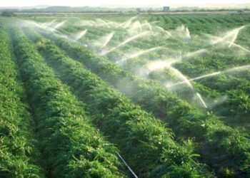 Егіске жіберілген судың 40 пайызы далаға кетіп жатыр.