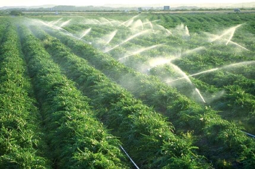 Егіске жіберілген судың 40 пайызы далаға кетіп жатыр.