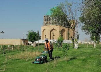 «Жасыл Түркістан» мақсаты – қаланы жасыл желекке айналдыру