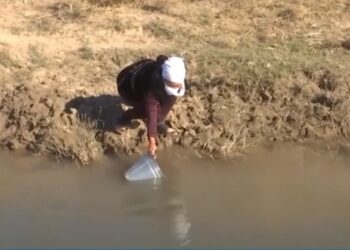 Түркістан: Тұрғындар арықтың суын ішуге мәжбүр