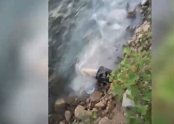 Түркістан: Балмұздақ шығаратын цехтің қалдығы ағын суды ластауда