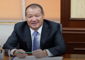 Өскенбаев түркиялық инвесторлармен кездесті