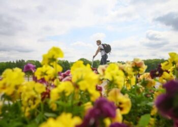 Алдағы күндерге арналған ауа райы болжамы жарияланды