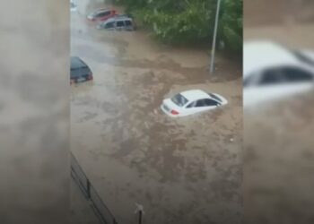 Түркияда толассыз жауыннан бірқатар қаланы су басты