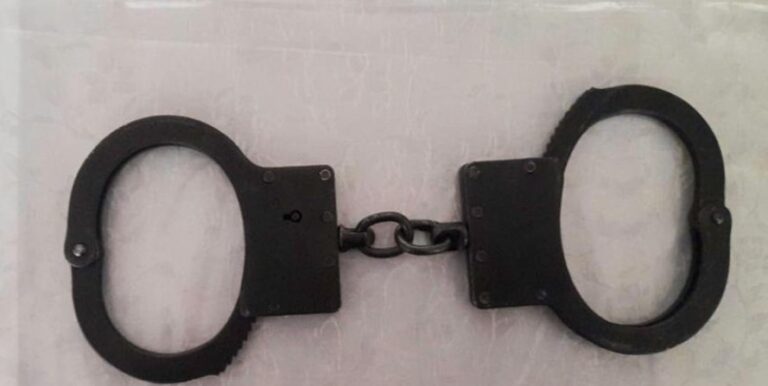 Шекарадан гашиш есірткісін алып өтпек болған шетел азаматы ұсталды