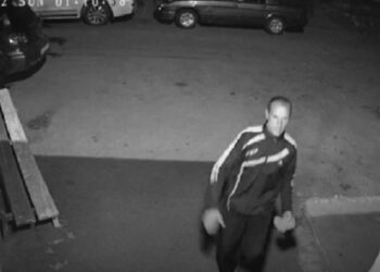 Павлодарда қыздың басынан кірпішпен ұрған ер адам қолға түсті