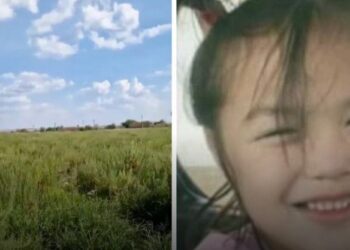 Жоғалып кеткен 5 жасар қыздың денесі табылды