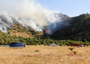 Түркияның танымал курортында өрт басталды