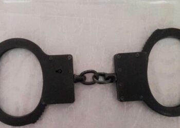 Шымкентте экстремистік бағыттағы материалдарды таратқан тұрғын ұсталды