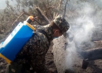 Қостанайдағы өрт сөндірілді