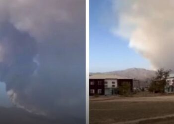 Тағы да өрт. Алакөл орман шаруашылығы аумағында өрт шықты