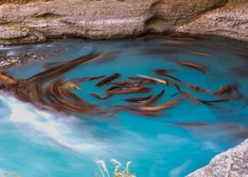 Түркістан облысында Ақсу өзенінен табылған мәйіт әйелдікі екені анықталды