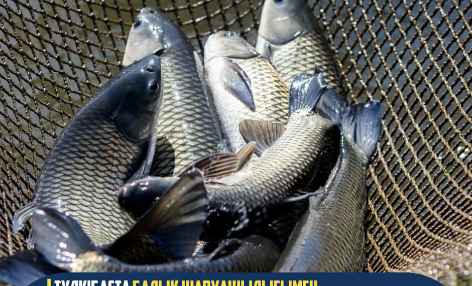 ТҮЛКІБАСТА БАЛЫҚ ШАРУАШЫЛЫҒЫМЕН АЙНАЛЫСУШЫЛАР САНЫ АРТЫП КЕЛЕДІ