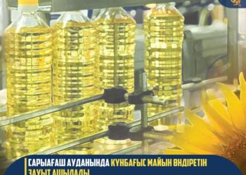 САРЫАҒАШ АУДАНЫНДА КҮНБАҒЫС МАЙЫН ӨНДІРЕТІН ЗАУЫТ АШЫЛАДЫ