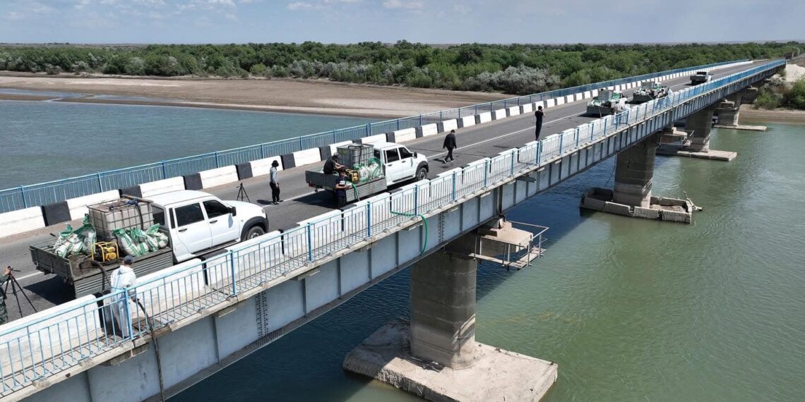 ТҮРКІСТАН: АРЫСТА ШІРКЕЙГЕ ҚАРСЫ ДЕЗИНСЕКЦИЯЛЫҚ ЖҰМЫСТАР ҚАРҚЫНДЫ ЖҮРГІЗІЛУДЕ