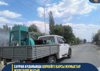 САУРАН АУДАНЫНДА ШІРКЕЙГЕ ҚАРСЫ ЖҰМЫСТАР ЖҮРГІЗІЛІП ЖАТЫР