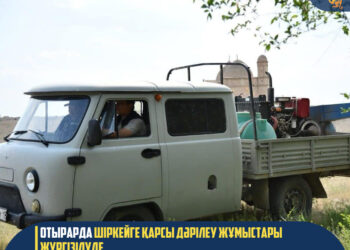 ОТЫРАРДА ШІРКЕЙГЕ ҚАРСЫ ДӘРІЛЕУ ЖҰМЫСТАРЫ ЖҮРГІЗІЛУДЕ