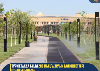 ТҮРКІСТАНДА БИЫЛ 200 МЫҢҒА ЖУЫҚ ТАЛ КӨШЕТТЕРІ ОТЫРҒЫЗЫЛАДЫ