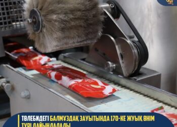 ТӨЛЕБИДЕГІ БАЛМҰЗДАҚ ЗАУЫТЫНДА 170-КЕ ЖУЫҚ ӨНІМ ТҮРІ ДАЙЫНДАЛАДЫ