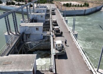 ТҮРКІСТАН: АРЫСТА ШІРКЕЙГЕ ҚАРСЫ ДЕЗИНСЕКЦИЯЛЫҚ ЖҰМЫСТАР ҚАРҚЫНДЫ ЖҮРГІЗІЛУДЕ