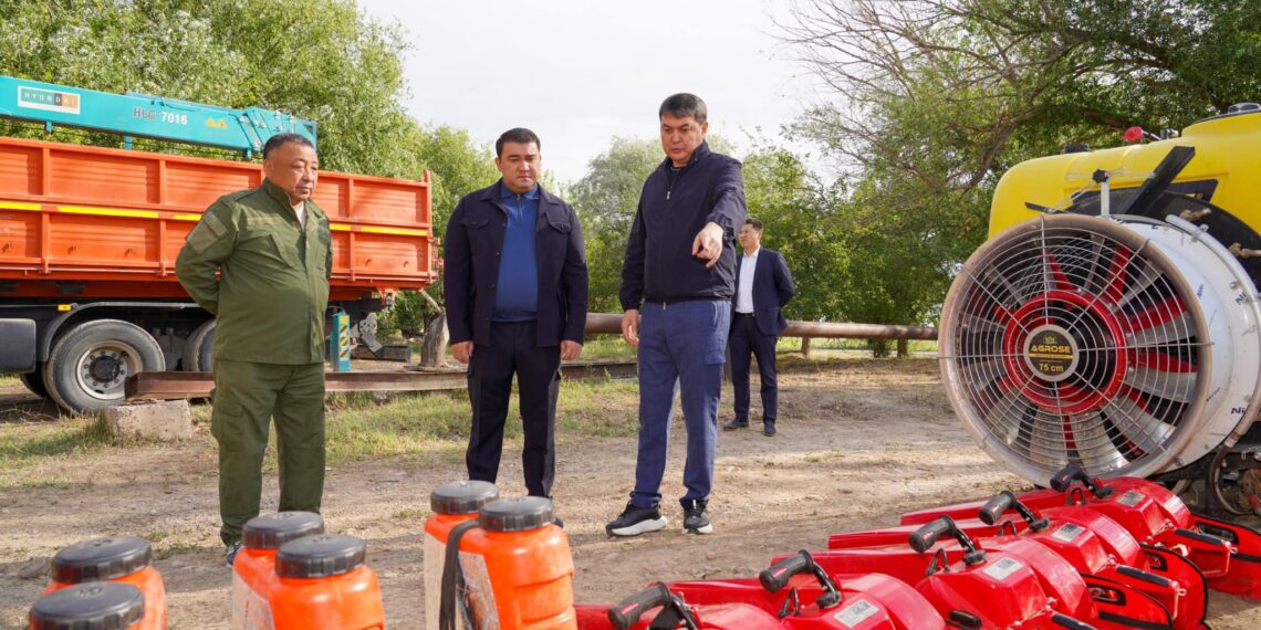 ТҮРКІСТАНДАҒЫ «ЖАСЫЛ БЕЛДЕУ» ЖАЙҚАЛЫП КЕЛЕДІ