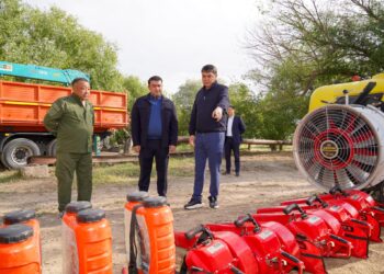 ТҮРКІСТАНДАҒЫ «ЖАСЫЛ БЕЛДЕУ» ЖАЙҚАЛЫП КЕЛЕДІ