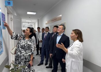 ТҮРКІСТАН ОБЛЫСЫНДА АНА МЕН БАЛА ДЕНСАУЛЫҒЫН ЖАҚСАРТУ БАҒЫТЫНДАҒЫ ЖҰМЫСТАР КҮШЕЙТІЛУДЕ