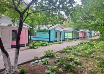 ТҮРКІСТАН ОБЛЫСЫНДА АЛҒАШ РЕТ МОДУЛЬДІ ЛАГЕРЬ ЖОБАСЫ ІСКЕ АСЫРЫЛДЫ