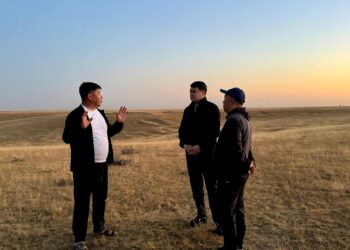 ТҮРКІСТАН ОБЛЫСЫНДА ХИМИЯЛЫҚ ӨҢДЕУ ЖҰМЫСТАРЫ ТҮНГІ АУЫСЫМДА ЖАЛҒАСУДА