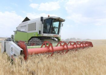 ТҮРКІСТАН: АУЫЛ ШАРУАШЫҒЫНЫҢ ӨЗЕКТІ МӘСЕЛЕЛЕРІ ТАЛҚЫЛАНДЫ