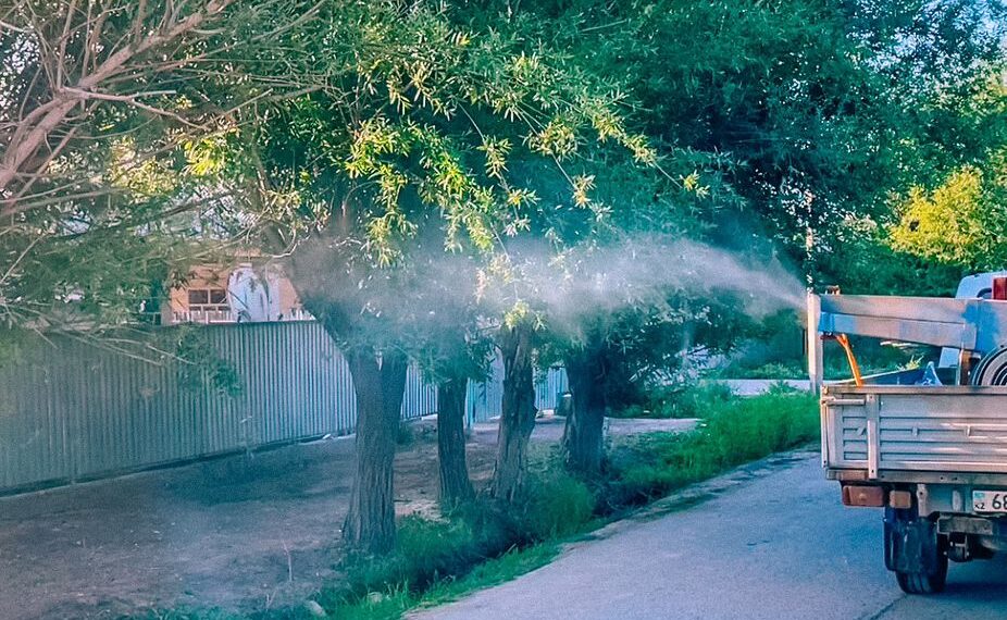 ТҮРКІСТАН: ШАРДАРАДА ШІРКЕЙГЕ ҚАРСЫ ЗАЛАЛСЫЗДАНДЫРУ ЖҰМЫСТАРЫ КҮШЕЙТІЛДІ