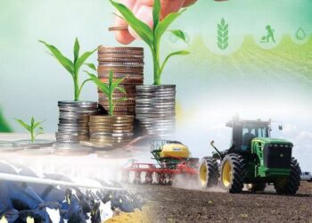 ТҮРКІСТАН: АУЫЛ ШАРУАШЫЛЫҚ САЛАСЫНЫҢ ӨЗЕКТІ МӘСЕЛЕЛЕРІ САРАЛАНДЫ