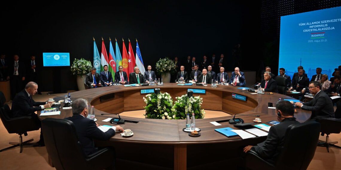 Президент Түркі мемлекеттері ұйымының бейресми саммитіне қатысты