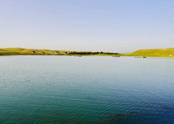 ТҮРКІСТАН: ҚАЗЫҒҰРТТА «АҒАНАЙ» СУ ҚОЙМАСЫНА 200 МЫҢҒА ЖУЫҚ САЗАН ШАБАҒЫ ЖІБЕРІЛДІ