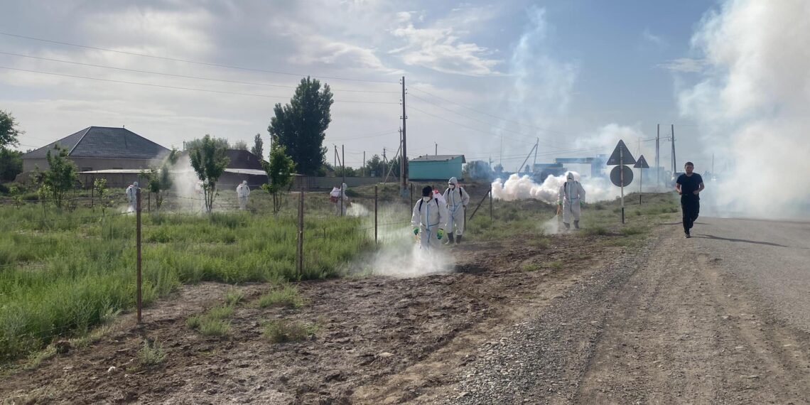 ТҮРКІСТАН ОБЛЫСЫНДА ШІРКЕЙЛЕРГЕ ҚАРСЫ КЕШЕНДІ ДӘРІЛЕУ ЖҰМЫСТАРЫ ЖАЛҒАСУДА