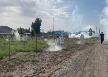 ТҮРКІСТАН ОБЛЫСЫНДА ШІРКЕЙЛЕРГЕ ҚАРСЫ КЕШЕНДІ ДӘРІЛЕУ ЖҰМЫСТАРЫ ЖАЛҒАСУДА