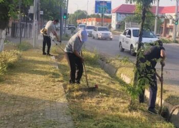 “ТАЗА ҚАЗАҚСТАН” ЭКОЛОГИЯЛЫҚ БАҒДАРЛАМАСЫ ҚАРҚЫНДЫ ЖҮЗЕГЕ АСУДА