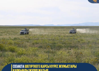 СОЗАҚТА ШЕГІРТКЕГЕ ҚАРСЫ КҮРЕС ЖҰМЫСТАРЫ ҚАРҚЫНДЫ ЖҮРІП ЖАТЫР